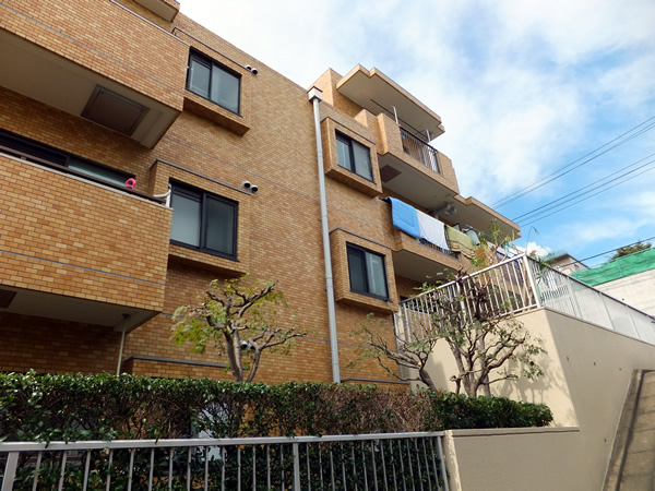 ライオンズマンション徳丸の外観