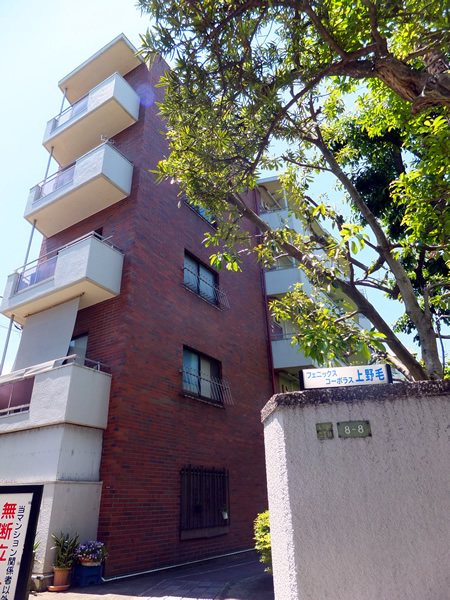 フェニックスコーポラス上野毛の外観