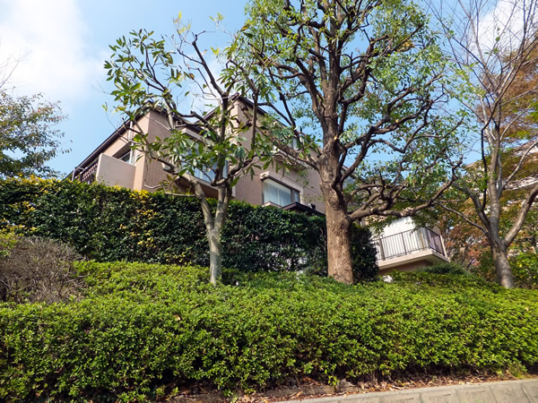 港北ファミールハイツ１号棟の外観