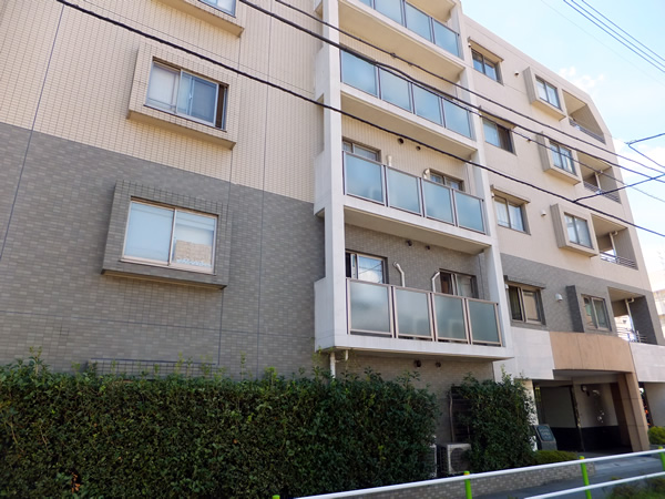 ルイシャトレ志村城山プロッシモの外観