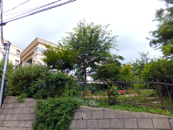 パレスドレオナール2の外観