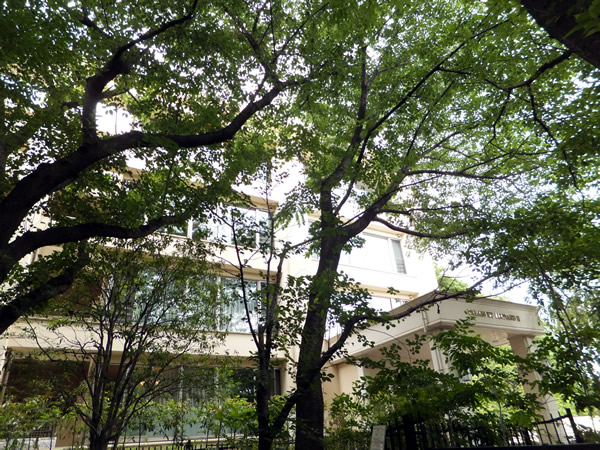 パレスドレオナール2の外観