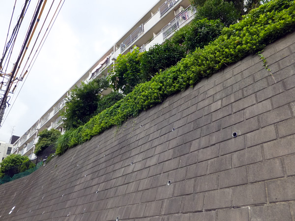 ハイネス溝の口の外観