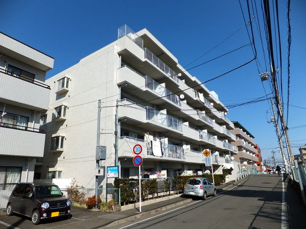 エンブレム向ヶ丘遊園の外観