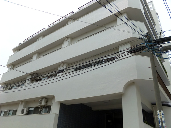 ハイネス落合の外観