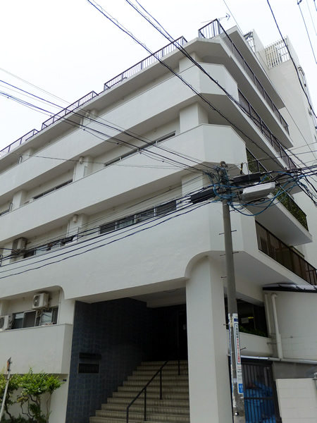 ハイネス落合の外観