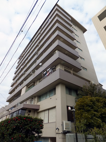 リバーサイドマンション綱島の外観