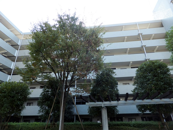 エンゼルパークハイツ綱島1番館の外観