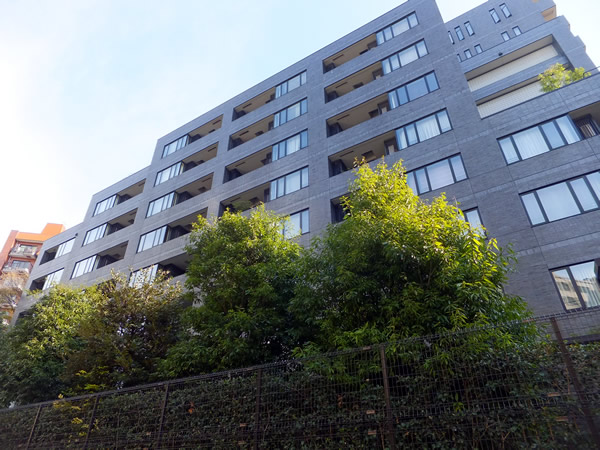 南青山テラス常盤松フォレストの外観