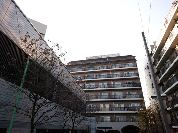 インペリアル南麻布コート&サテライトの外観