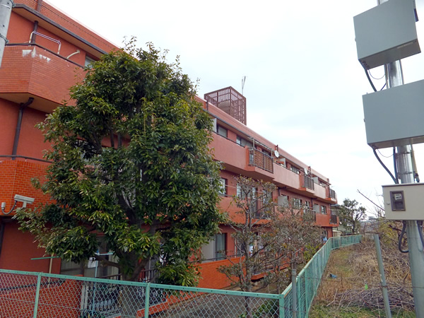セザール秦野の外観