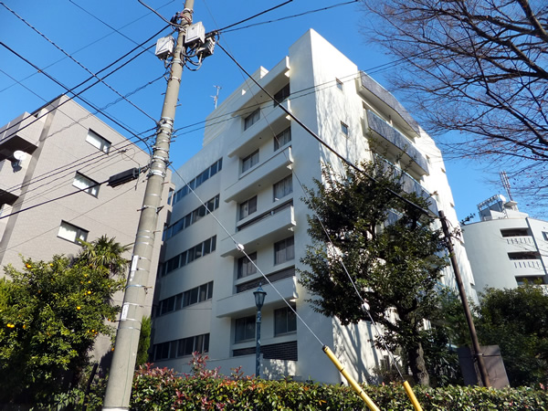 中野薬師マンションの外観