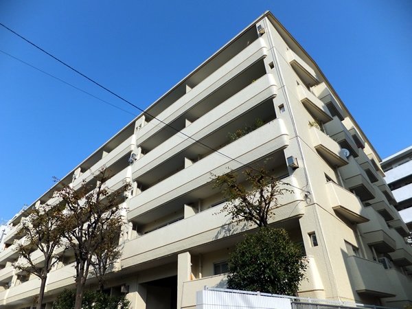 ゾンネンハイム大橋の外観