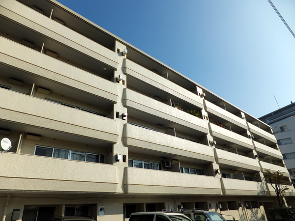 ゾンネンハイム大橋の外観