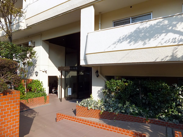 ゾンネンハイム大橋の外観