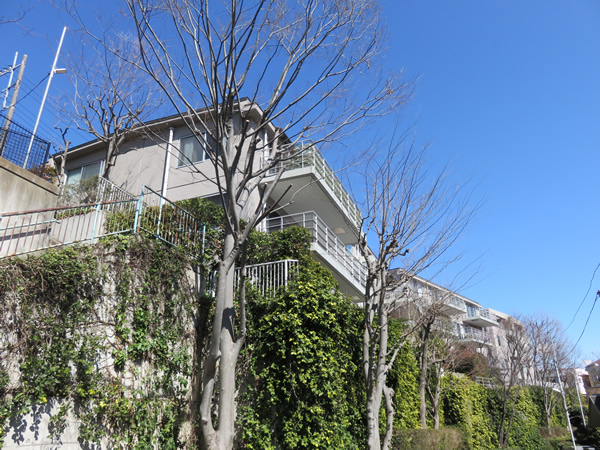 ベルレーヴ生田の外観