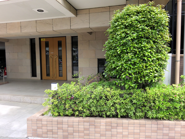 グレイス相模大野ネオステージの外観