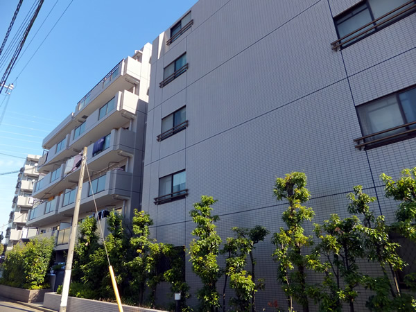 エンゼルハイム綱島第3の外観