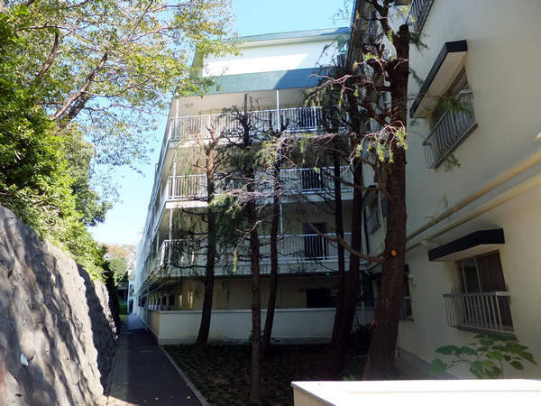 大倉山パークハイツの外観