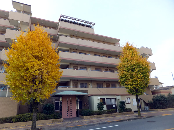 ルピナス河辺の外観