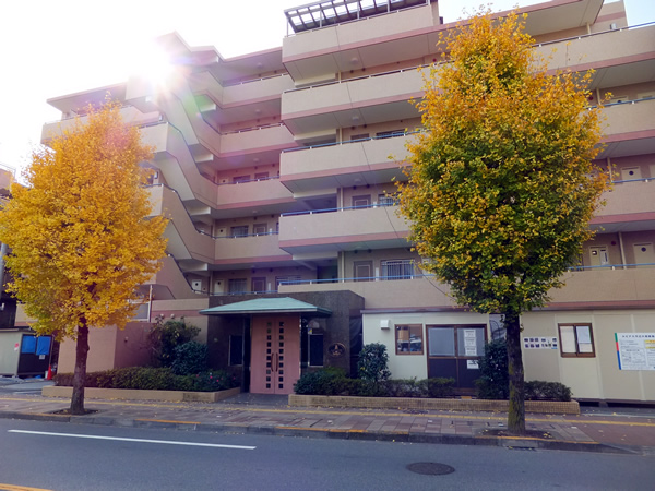 ルピナス河辺の外観