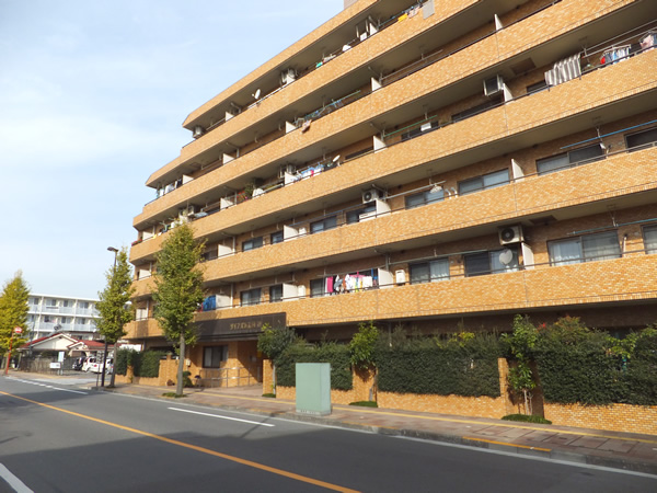 ダイアパレス河辺の外観