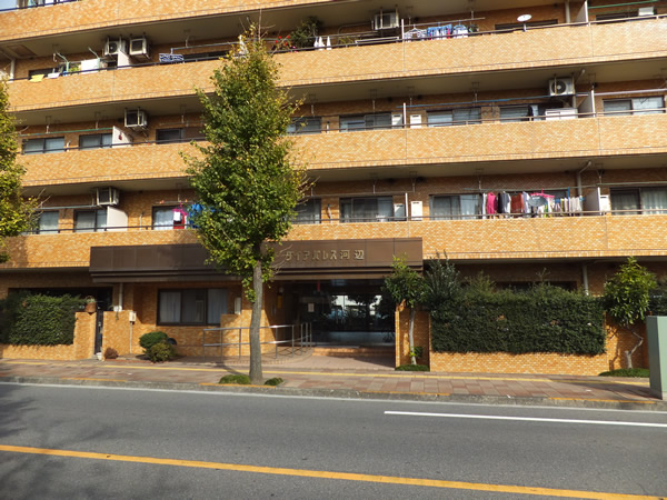 ダイアパレス河辺の外観