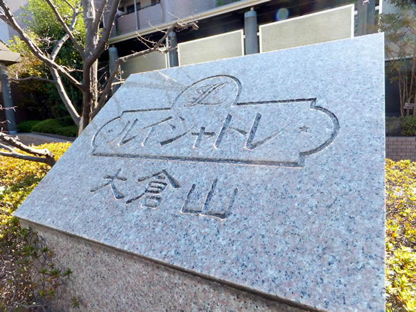 ルイシャトレ大倉山の外観