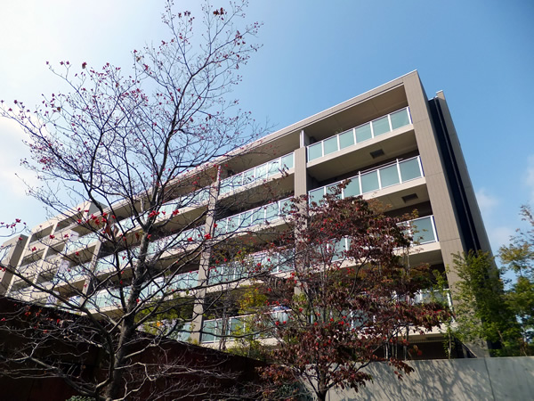 グランドメゾン仲町台の外観