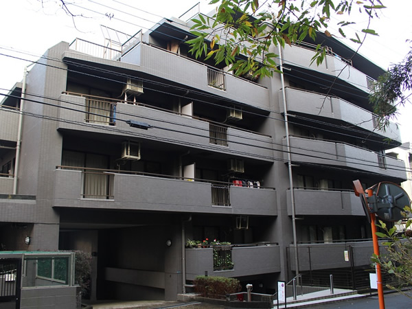 コスモ向ヶ丘遊園ラミューゼの外観