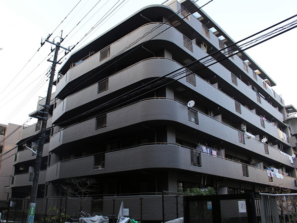 コスモ向ヶ丘遊園ラミューゼの外観