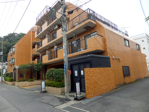 ダイアパレス向ヶ丘遊園の外観