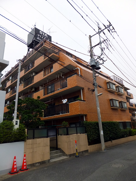 ダイアパレス向ヶ丘遊園の外観