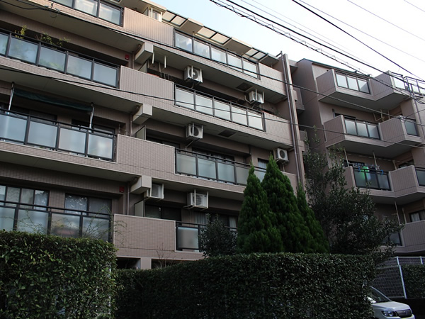 マイキャッスル向ヶ丘遊園2番館の外観