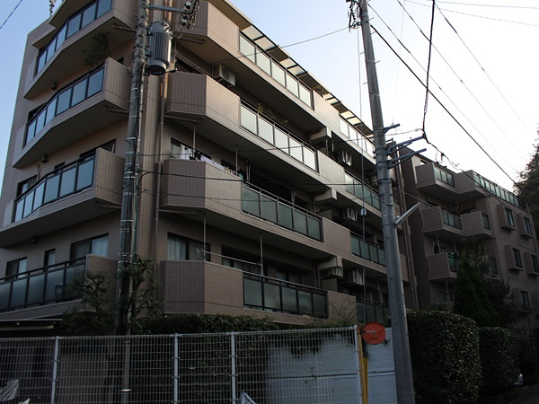 マイキャッスル向ヶ丘遊園2番館の外観