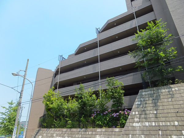 ナイスパークステイツ藤が丘の外観