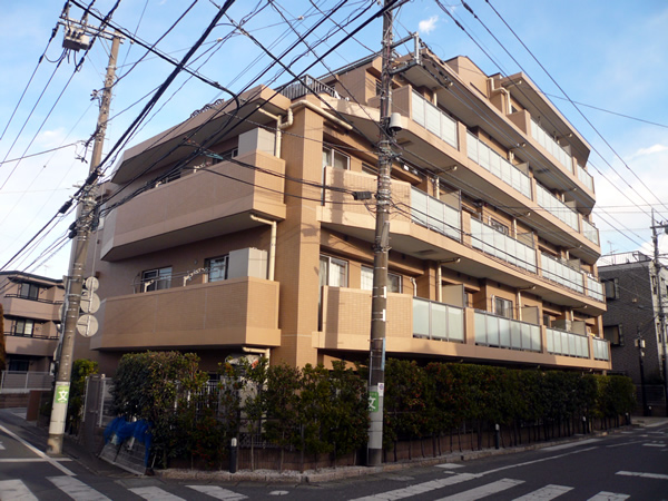 ミオカステーロ稲田堤2の外観