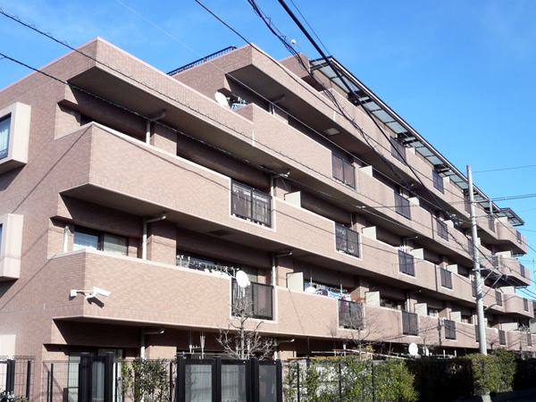 ダイアパレスタピオ向ヶ丘遊園の外観