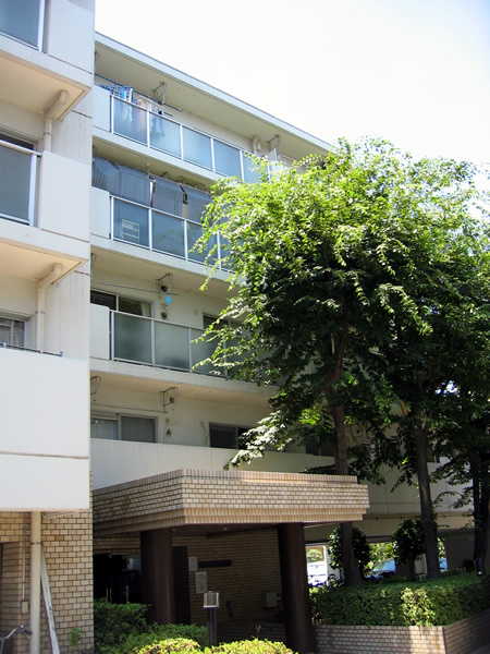 藤和向ヶ丘遊園コープの外観