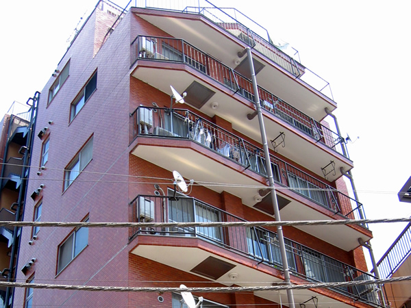 トーア向ヶ丘遊園マンションの外観