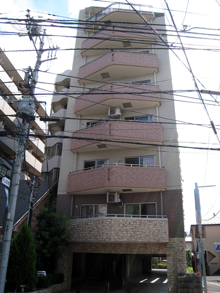 セザールレレガン二子多摩川の外観