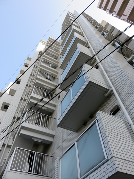 ニックハイム二子玉川園の外観