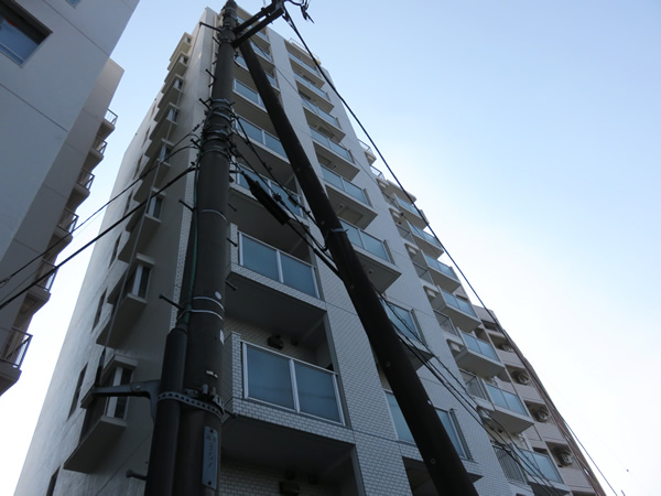 ニックハイム二子玉川園の外観