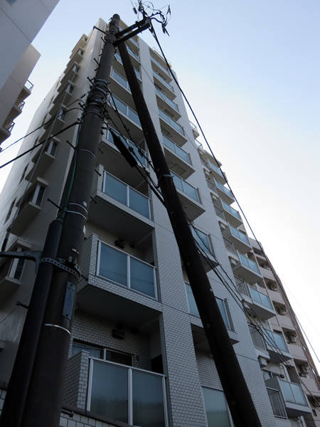 ニックハイム二子玉川園の外観