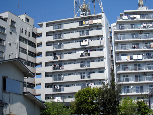 ニックハイム二子玉川園の外観