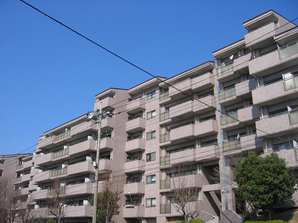 東急ドエルビアス市が尾B棟の外観