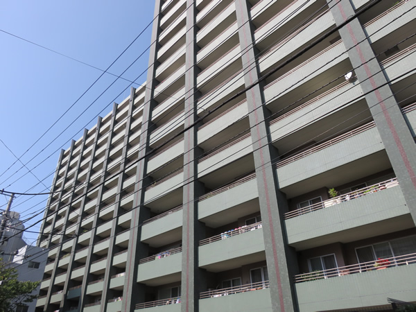 パークスクエア多摩川グリーンレジデンスの外観