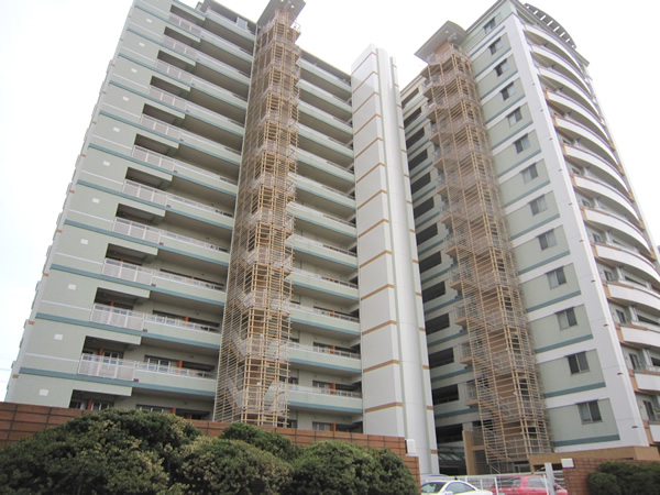 レアリス武蔵小杉の外観