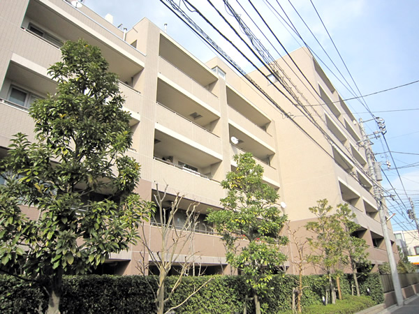 藤和シティホームズ武蔵小杉御殿町の外観