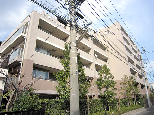 藤和シティホームズ武蔵小杉御殿町の外観